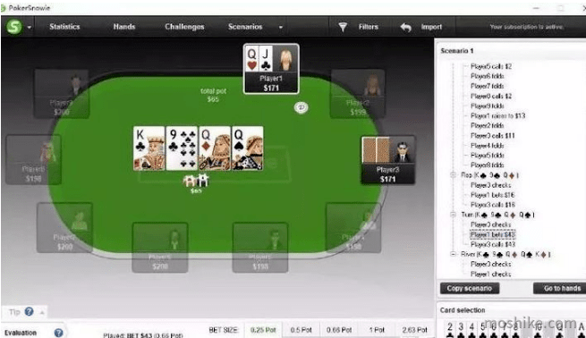 PokerSnowie PokerSnowie